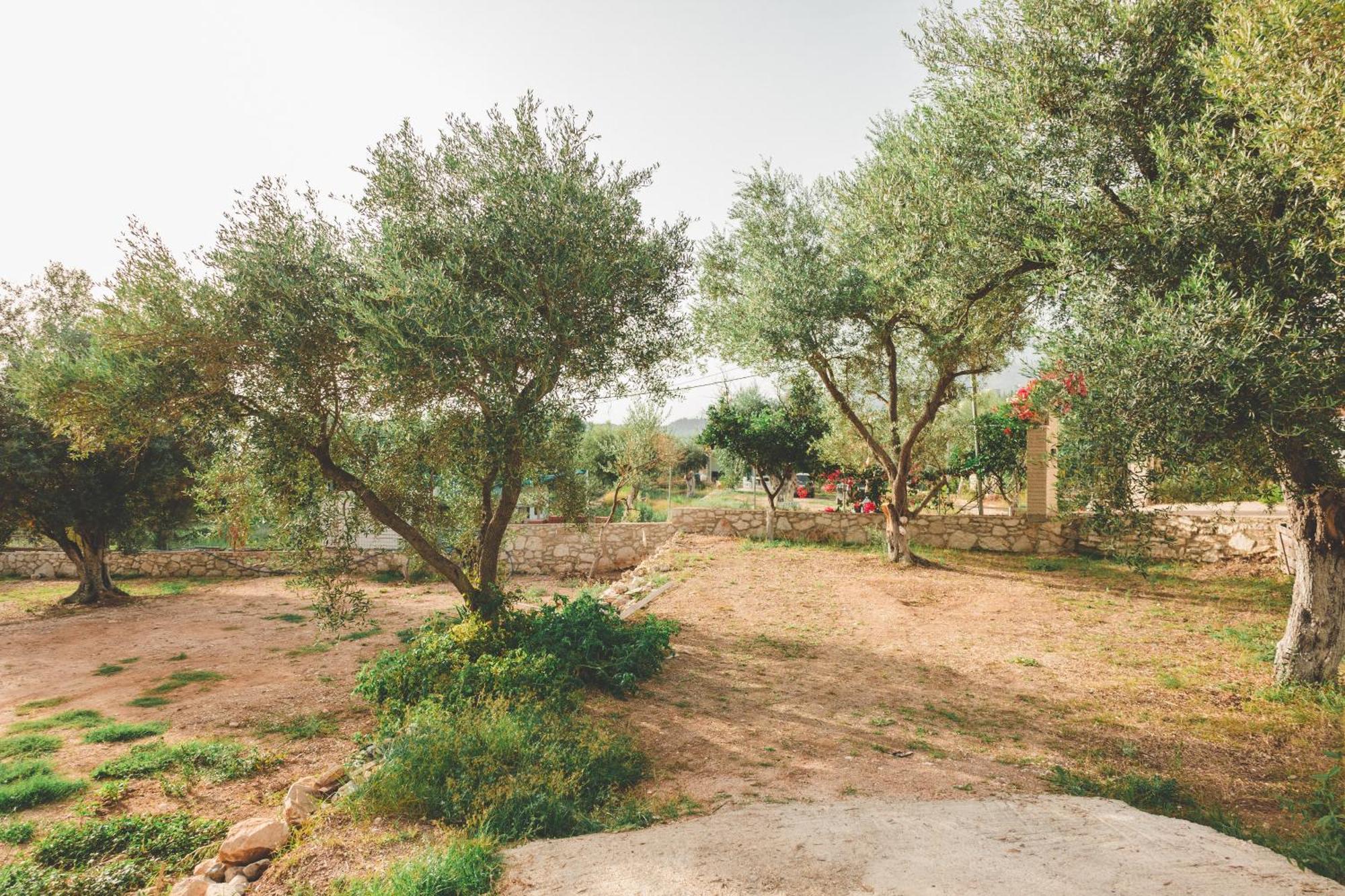 Olive Camping Himare Exterior foto