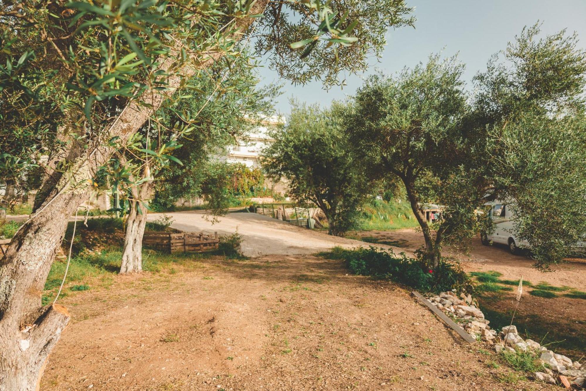 Olive Camping Himare Exterior foto