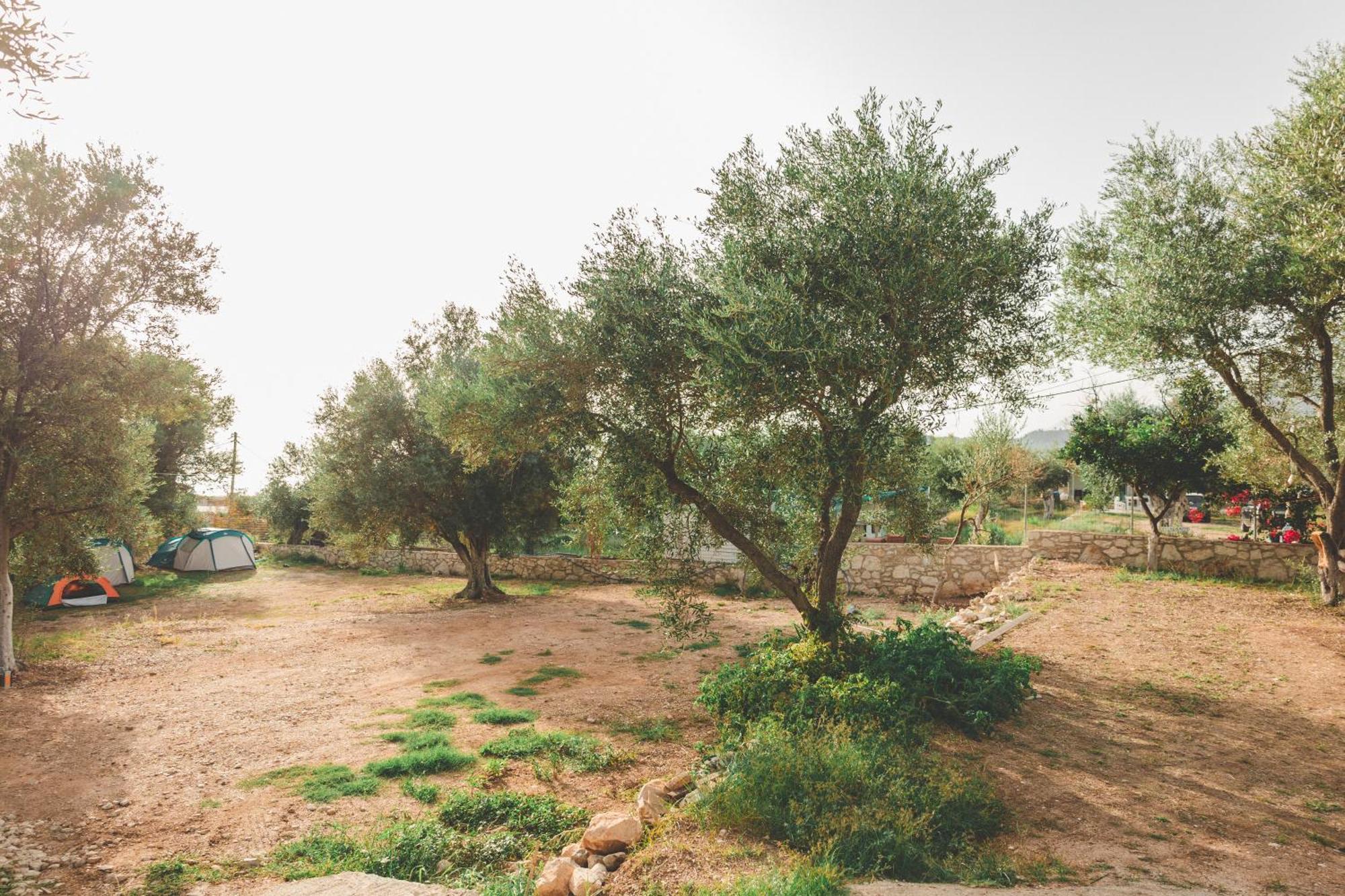Olive Camping Himare Exterior foto